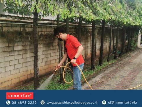 ใช้สมุนไพร Uncle B กำจัดสัตว์เลื้อยคลาน